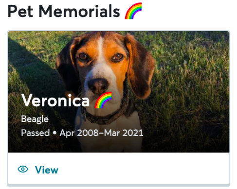 Memorialized pet profile with rainbow badge.